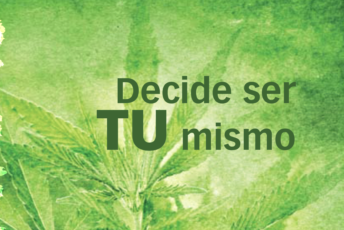 Cannabis. Decide ser tú mismo