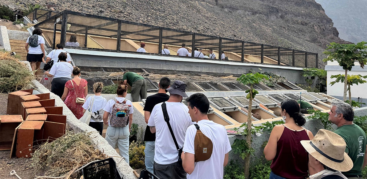 La isla de La Gomera acoge la jornada inclusiva «Somos Gigantes» organizada por Fundación MAPFRE Canarias 