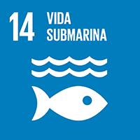 Objetivo 14: Conservar y utilizar en forma sostenible los océanos, los mares y los recursos marinos para el desarrollo sostenible