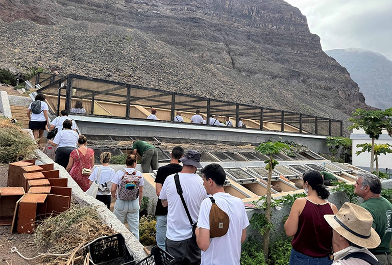 Jornada inclusiva «Somos Gigantes» en La Gomera