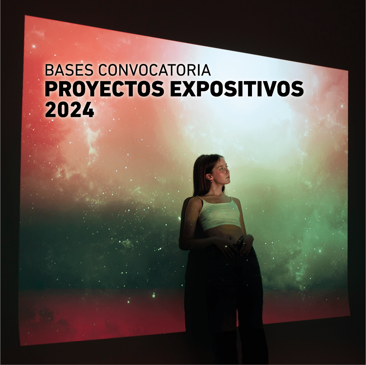 Conoce nuestra convocatoria de proyectos expositivos