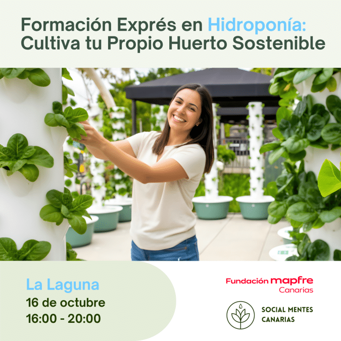 Formación exprés en hidroponía: cultiva tu propio huerto sostenible